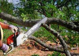 Lawn Irrigation Installation and Maintenance in Saddle River, NJ